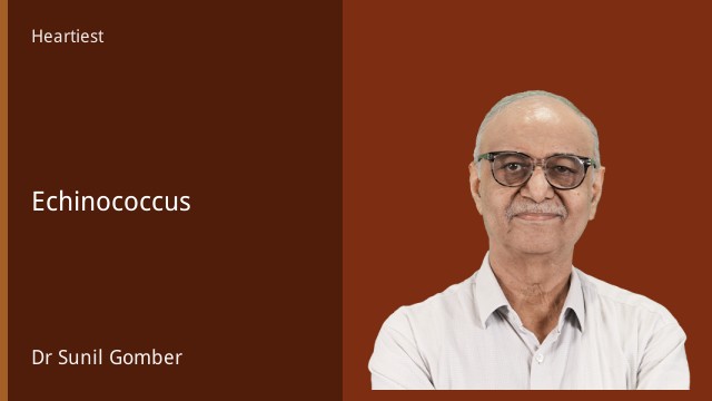 Echinococcus